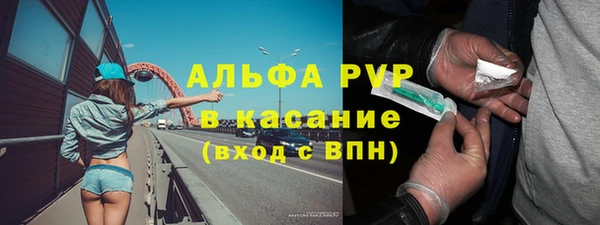 шишки Горнозаводск