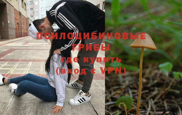 мяу мяу мука Горняк