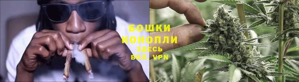 СК Горно-Алтайск