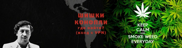 шишки Горнозаводск