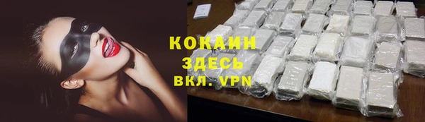 шишки Горнозаводск