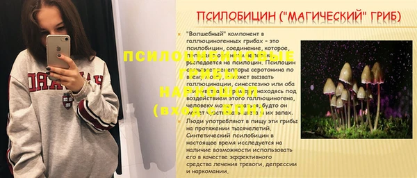 шишки Горнозаводск