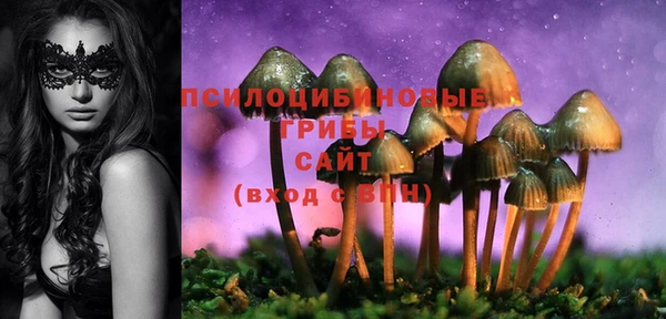 СК Горно-Алтайск