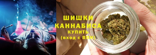 СК Горно-Алтайск