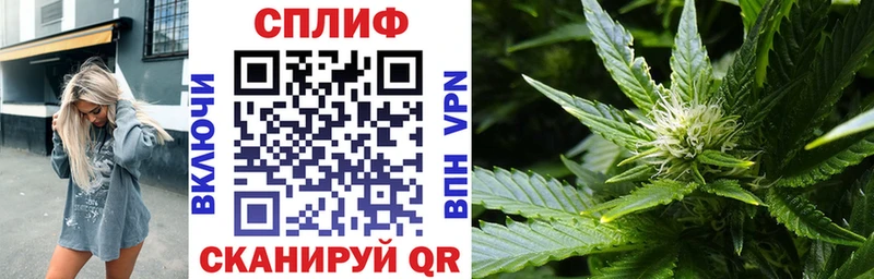 Каннабис ГИДРОПОН продажа наркотиков Задонск